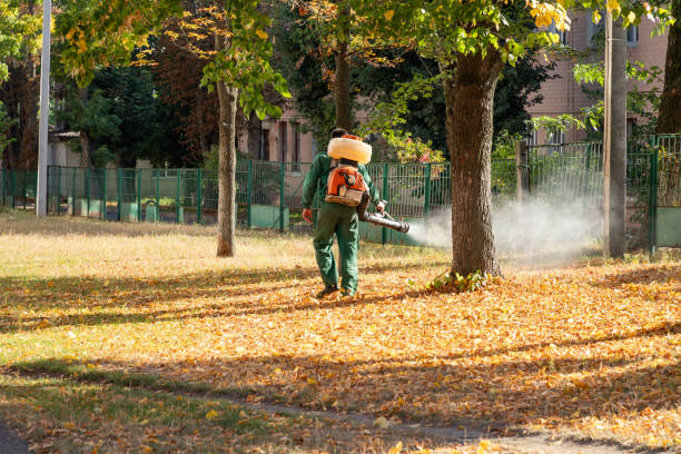 Best Pest Control for Businesses  in Omaha, NE